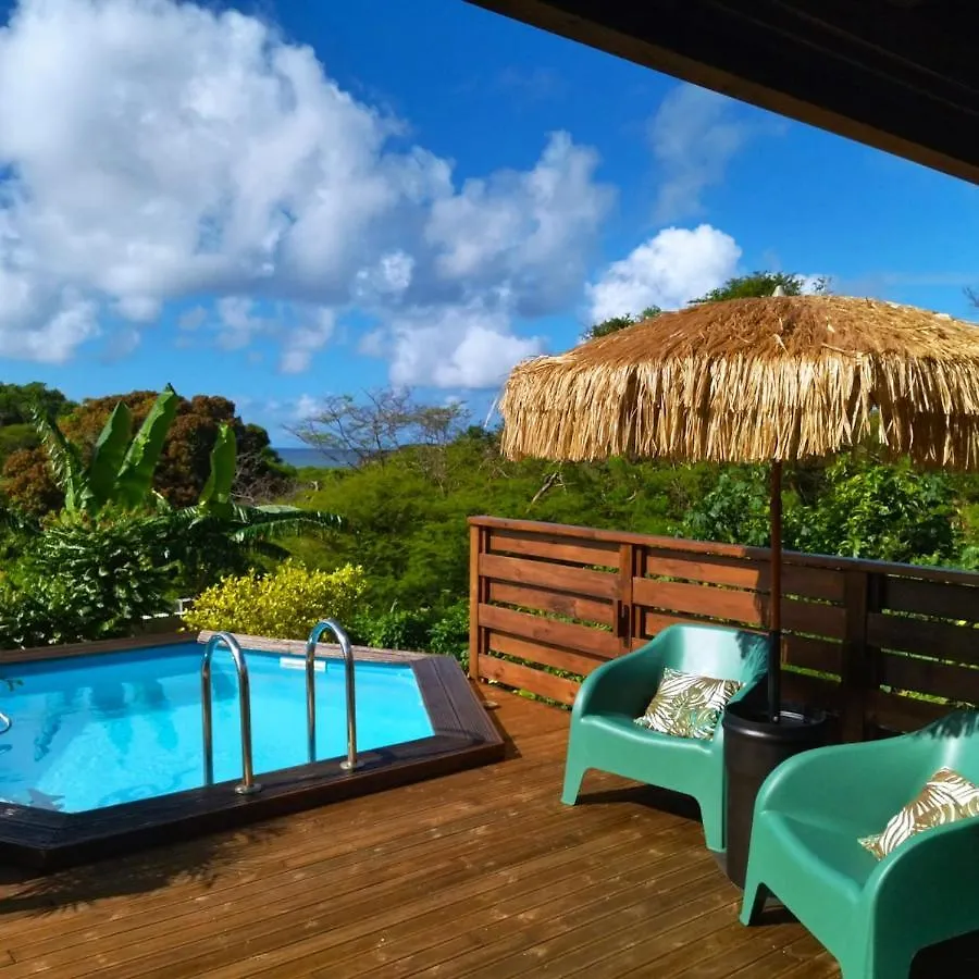 Studio Avec Vue Sur La Mer Piscine Privee Et Jardin Clos A Sainte Anne Guadeloupe