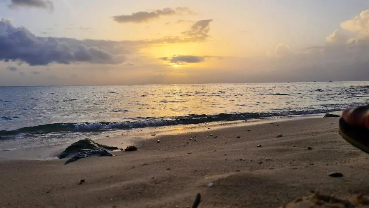Apartment Studio Avec Vue Sur La Mer Piscine Privee Et Jardin Clos A Sainte Anne Guadeloupe