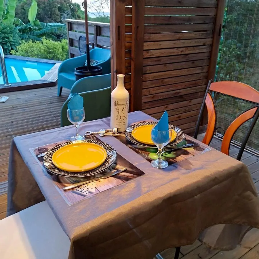 Studio avec vue sur la mer piscine privee et jardin clos a Sainte Anne Appartement