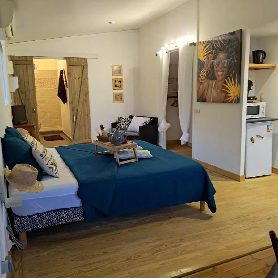 Studio avec vue sur la mer piscine privee et jardin clos a Sainte Anne